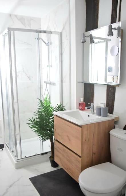Apartament Chic Et Normand, Parking Facile, Wifi Hd Pont-Audemer Zewnętrze zdjęcie